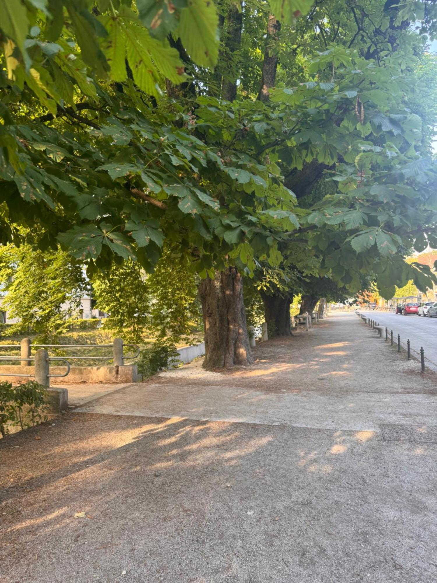 Enchanting Eipprova Apartma *